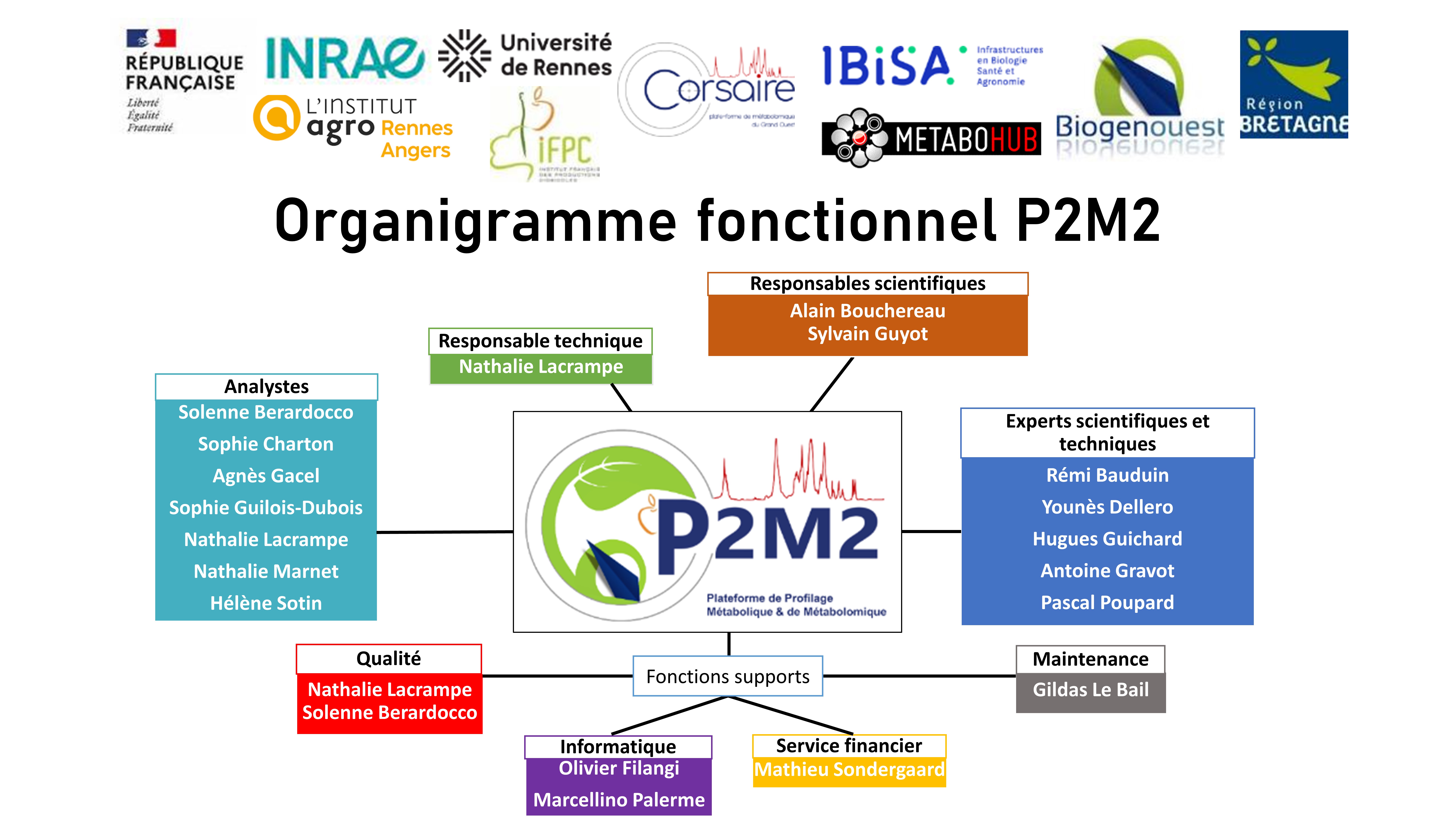 Organigramme fonctionnel P2M2 11_2024_JPG