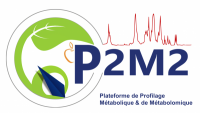 logoP2M2-12_2022