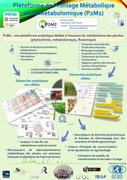 Poster présentation P2M2 2024