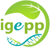 Logo+IGEPP